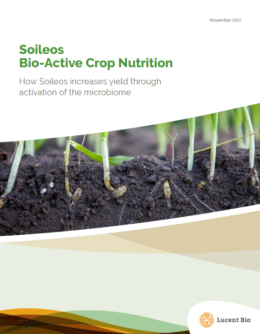 Thumbnail image for the Soileos Mode of Action white paper, highlighting sustainable soil health solutions and slow-release nutrient delivery.