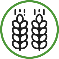 Soileos Highers Yield